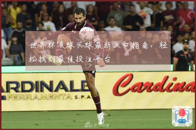 世界杯滚球买球最新入口指南，轻松找到最佳投注平台
