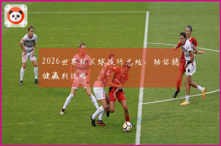 2026世界杯买球技巧总结，助你稳健赢利攻略