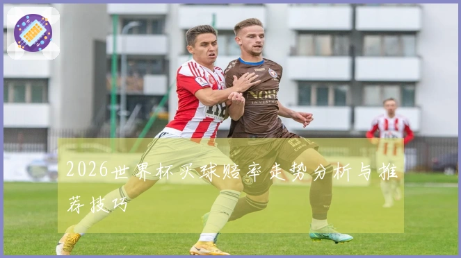 2026世界杯买球赔率走势分析与推荐技巧