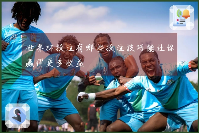 世界杯投注有哪些投注技巧能让你赢得更多收益