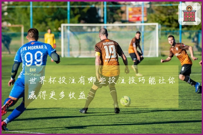 世界杯投注有哪些投注技巧能让你赢得更多收益
