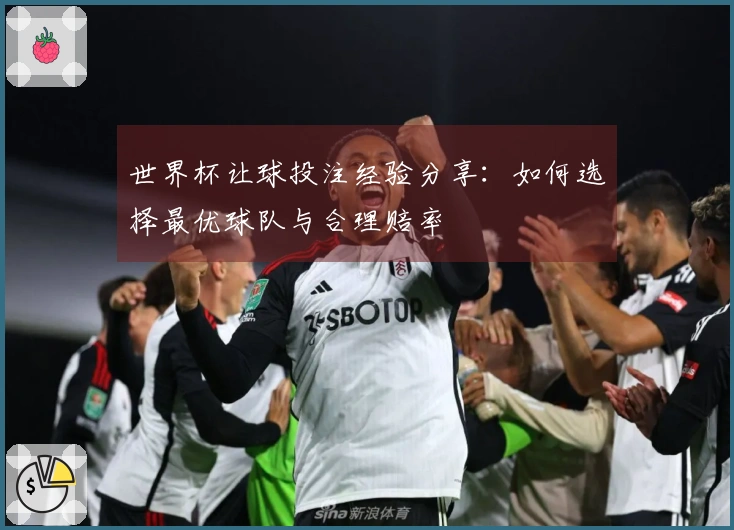 世界杯让球投注经验分享：如何选择最优球队与合理赔率