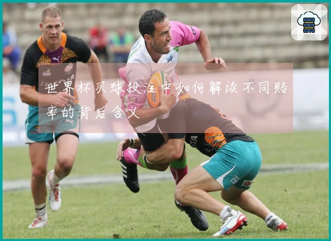 世界杯买球投注中如何解读不同赔率的背后含义