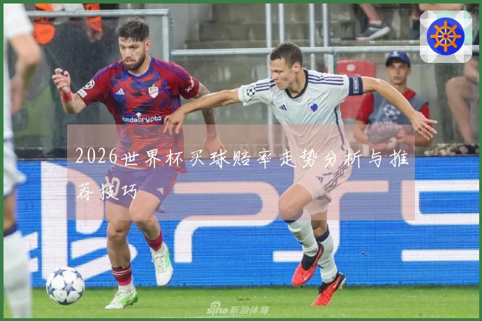 2026世界杯买球赔率走势分析与推荐技巧